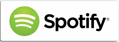 Spotify Store